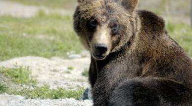Reviewer avatar